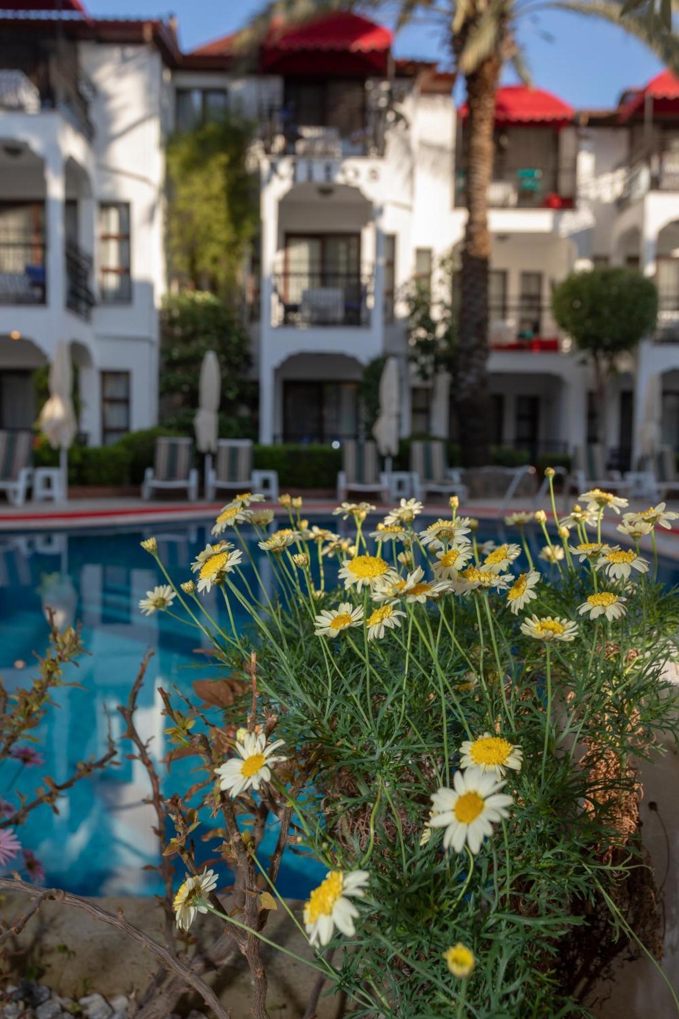 Mitos Apartments Marmaris Bagian luar foto